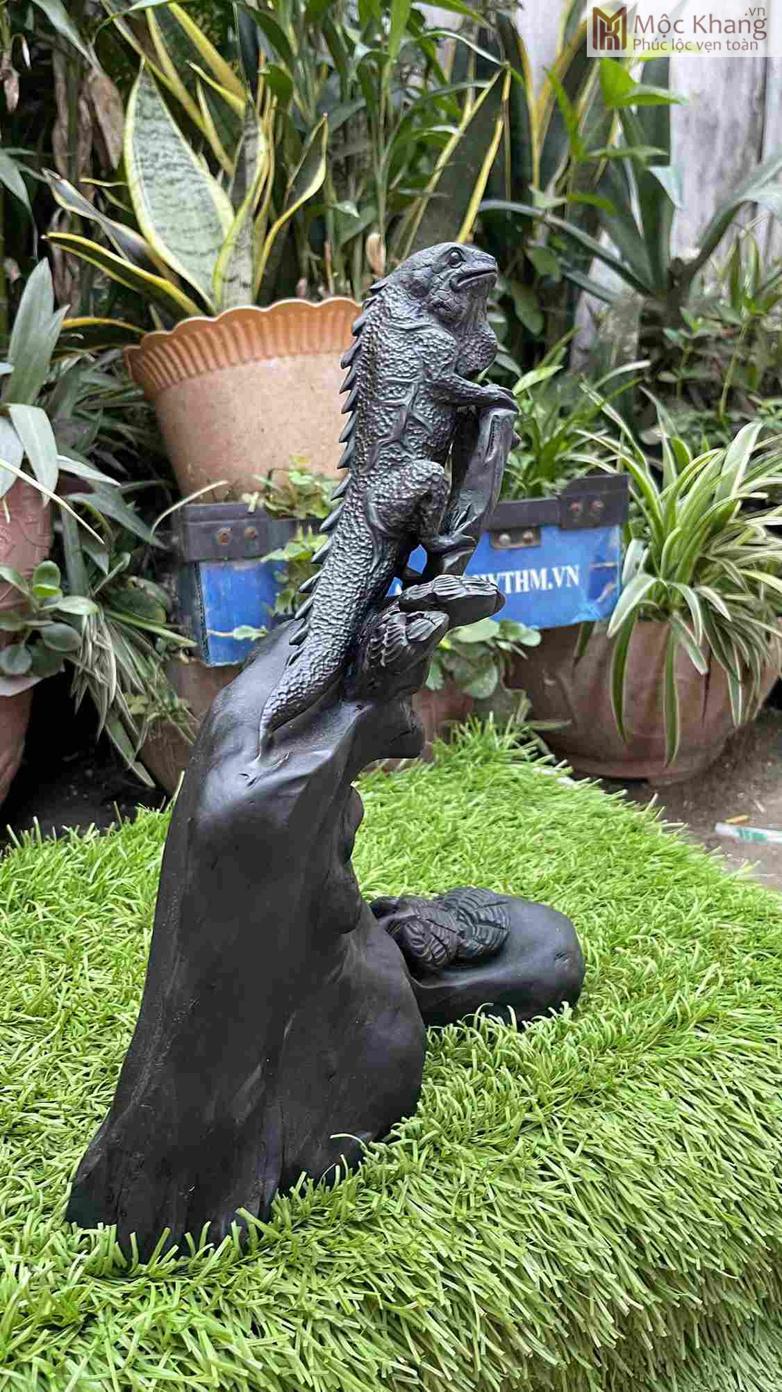 Tượng Kỳ Nhông Gỗ Mun Khánh Hòa Cao 37 Ngang 29 Sâu 12 (cm) Tượng Kỳ Nhông Gỗ Mun Khánh Hòa