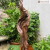 tuong ong tho go bach xanh cao 82 ngang 23 sau 20 cm 5 5 11zon