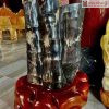 Bụi Trúc Hóa Thạch