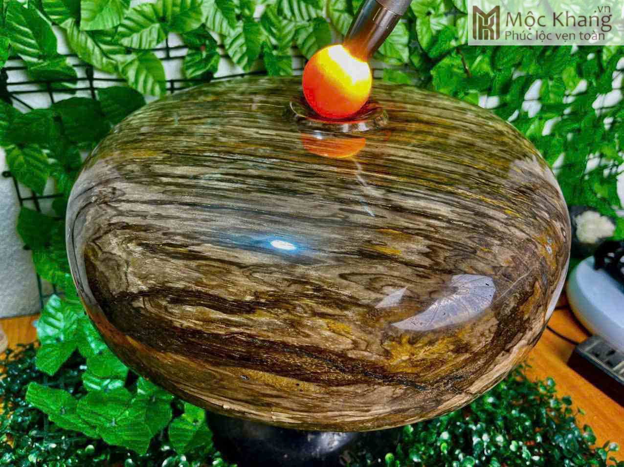 Chum Phú Quý Gỗ Hóa Thạch (1)_1 Chum Phú Quý Gỗ Hóa Thạch