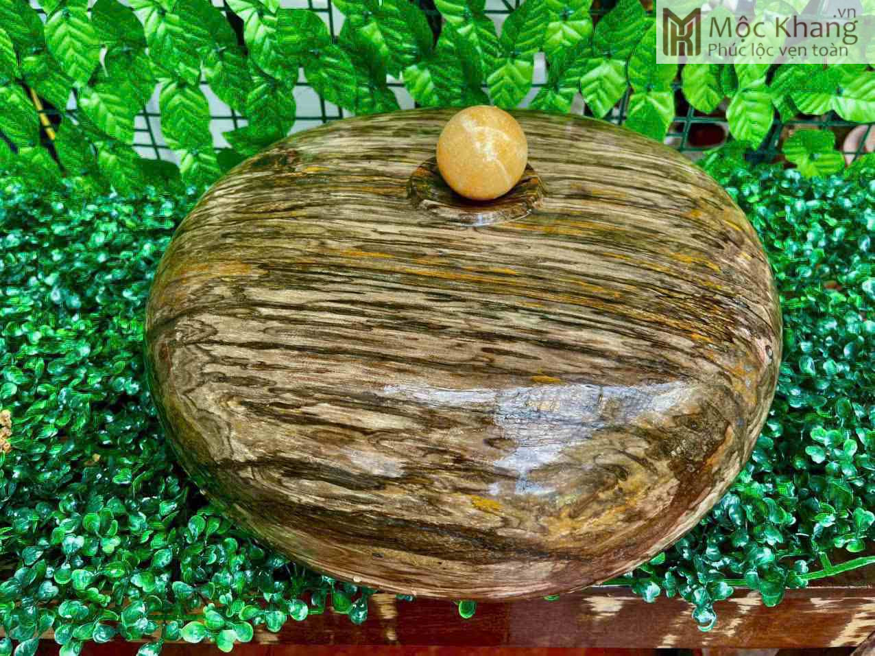 Chum Phú Quý Gỗ Hóa Thạch (3)_3 Chum Phu Quy Go Hoa Thach 3 3