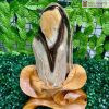 Gỗ Hóa Ngọc Vân Thổ Cẩm