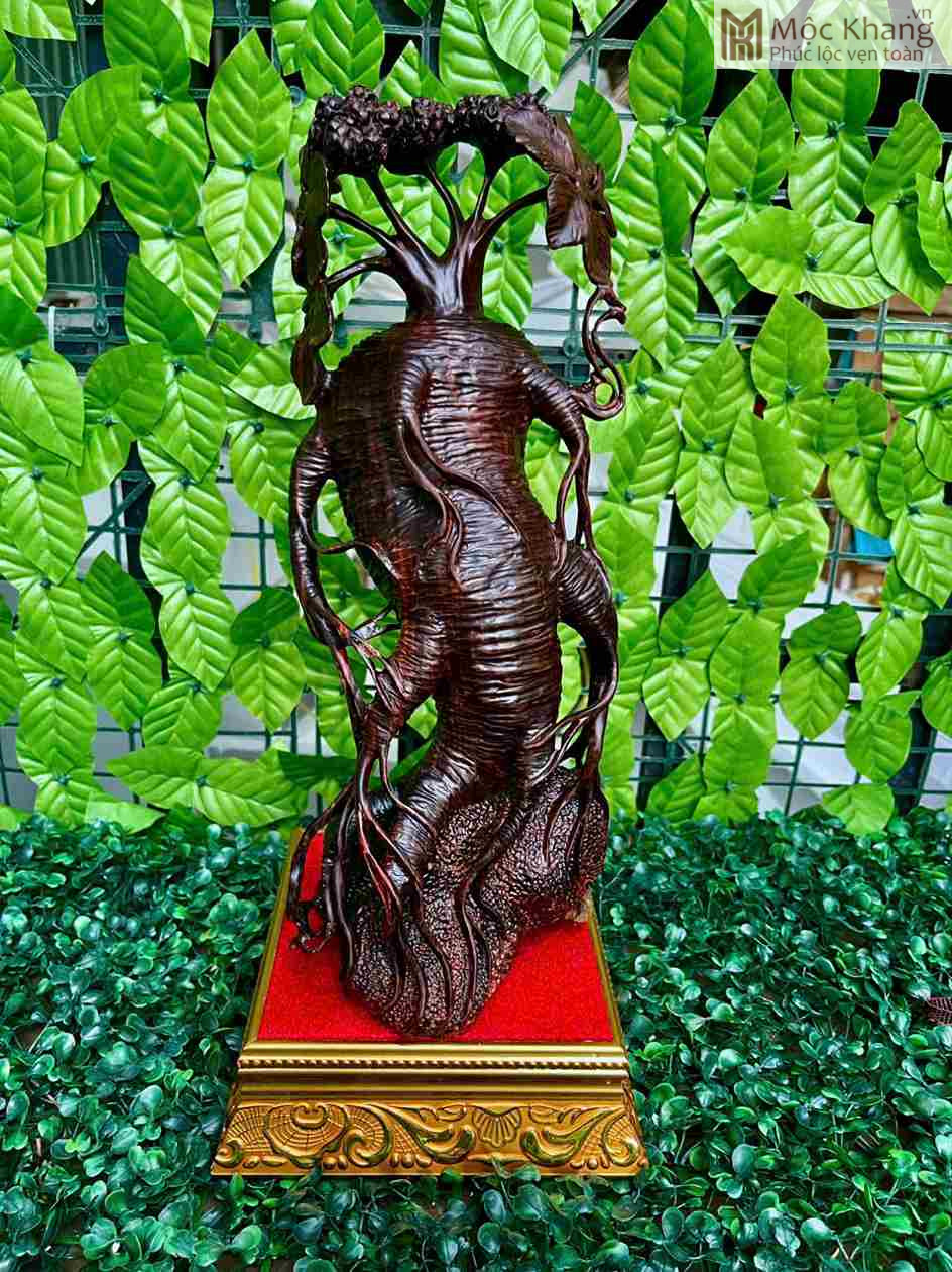 Nhân Sâm Gỗ Trắc (1)_1 Củ Nhân Sâm Gỗ Trắc