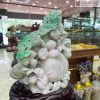Tac Pham Dao Truong Tho Ngoc Phi Thuy 2
