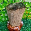 Tác Phẩm Gỗ Hóa Ngọc Gia Lai