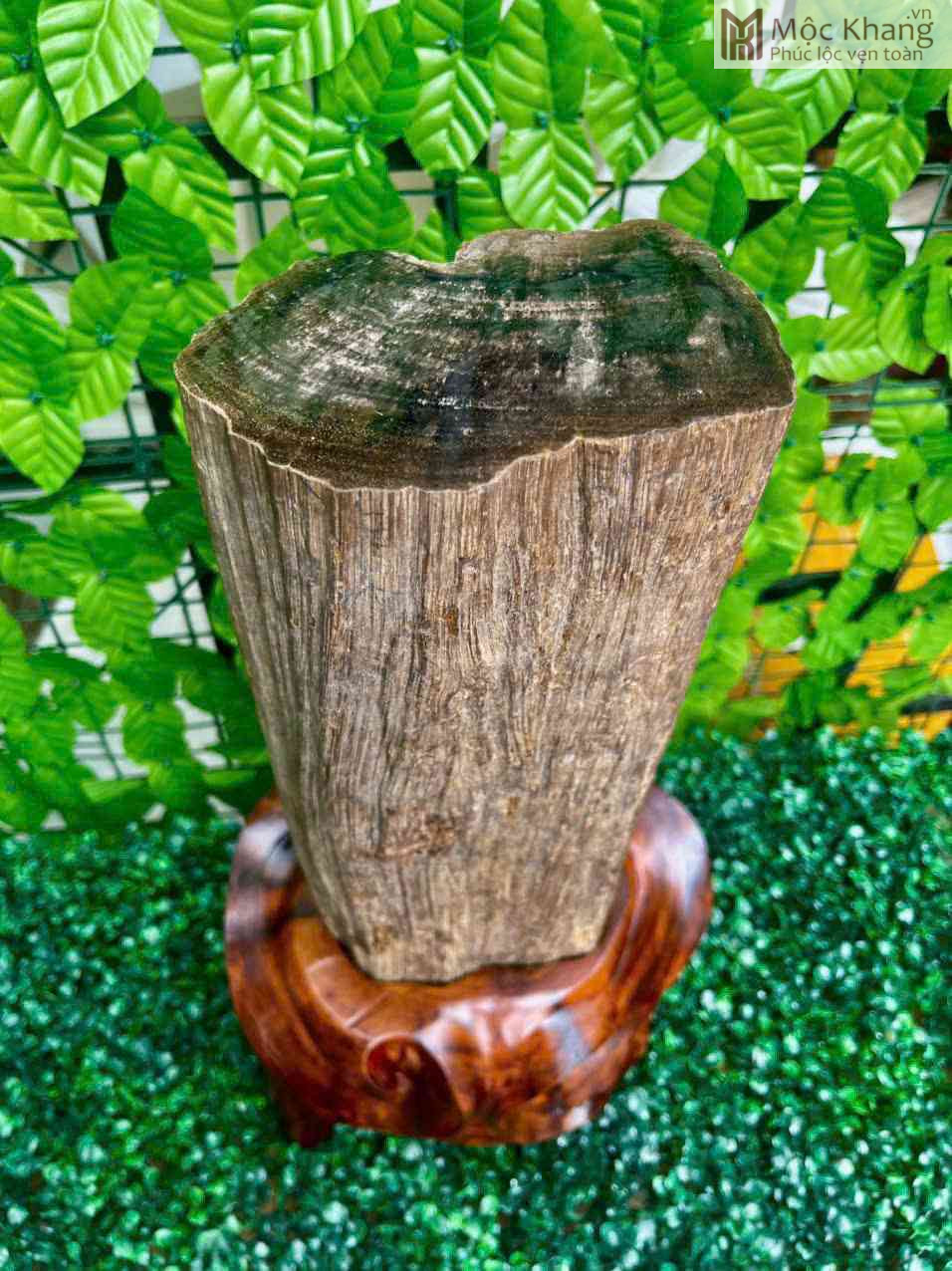 Tác Phẩm Gỗ Hóa Ngọc Gia Lai (2)_2 Tác Phẩm Gỗ Hóa Ngọc Gia Lai