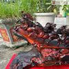 Tuong Ma Dao Thanh Cong Lien Khoi 4 4
