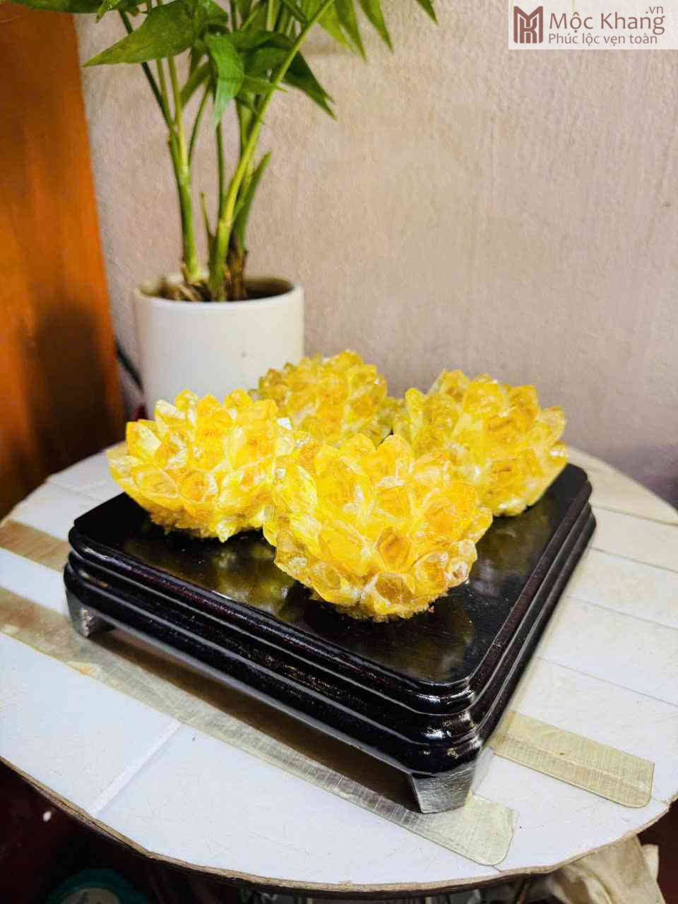 bui-tinh-the-thach-vang-cao-13-ngang-20-cm-luon-de (1)_1_11zon