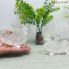 cap ty huu thach anh trang ngang 10 cm 1 1 11zon