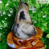 Gỗ Hóa Ngọc
