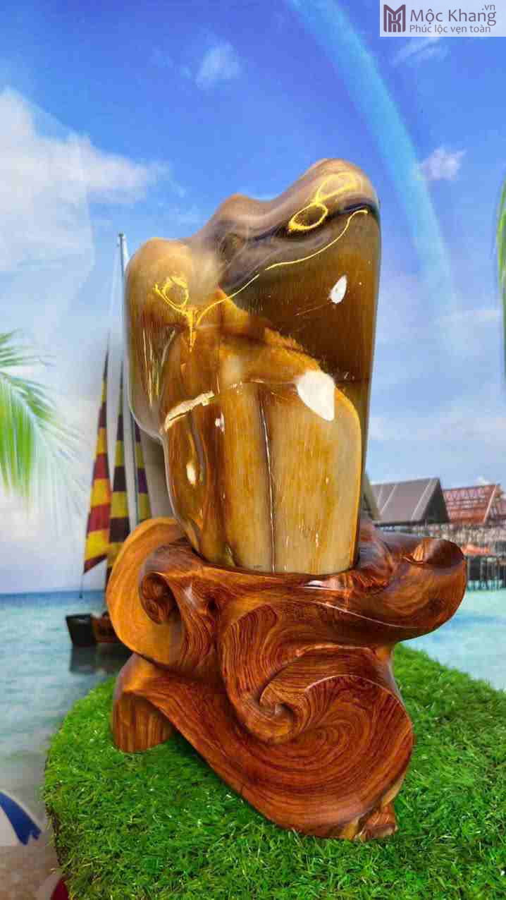 Gỗ Hóa Thạch Hợp Mệnh Gì? Gỗ Hóa Thạch