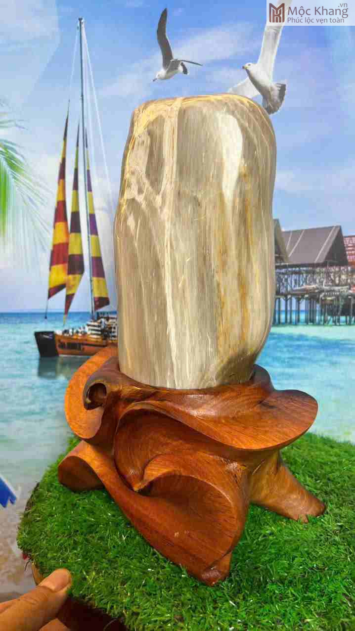 Gỗ Hóa Ngọc Gia Lai (4)_4 Go Hoa Ngoc Gia Lai 4 4