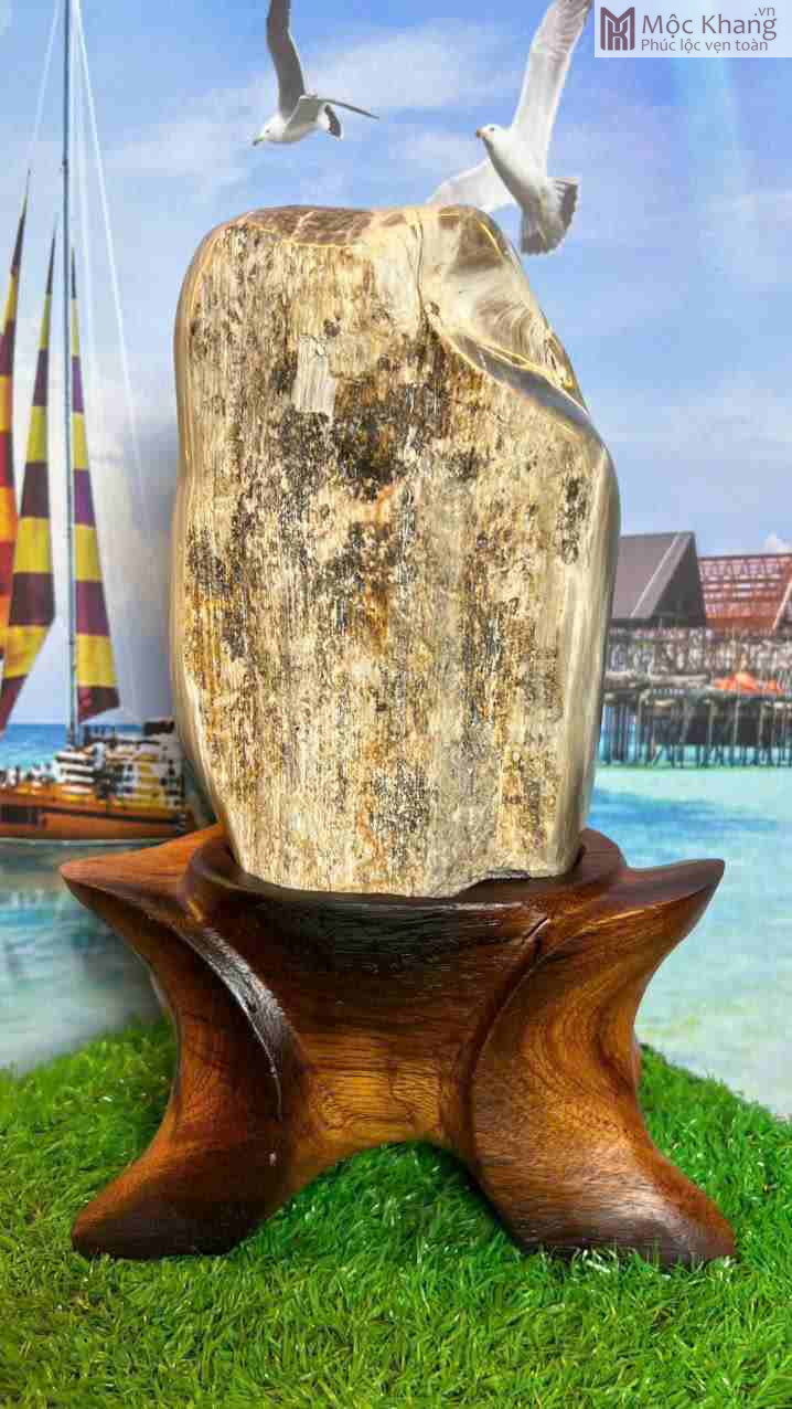 Gỗ Hóa Ngọc Gia Lai (5)_5 Go Hoa Ngoc Gia Lai 5 5