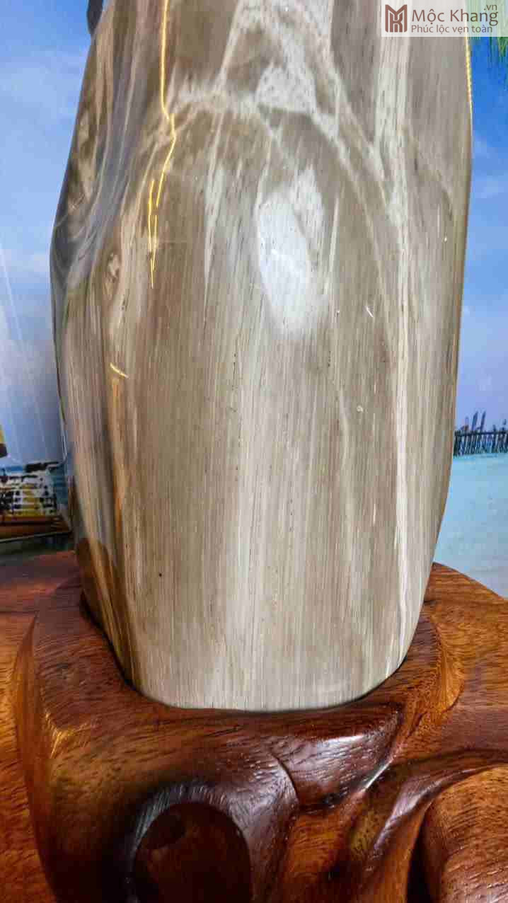 Gỗ Hóa Ngọc Gia Lai (6)_6 Gỗ Hóa Ngọc Gia Lai