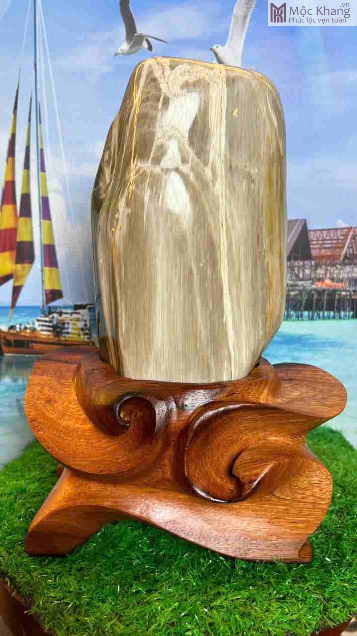 Gỗ Hóa Ngọc Gia Lai (8)_8 Gỗ Hóa Ngọc Gia Lai