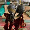 Tac Pham Ngoc Can Thach Gia Lai 6 6