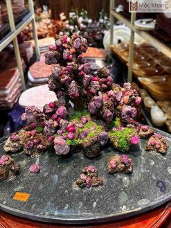 Tiểu Cảnh Đá Ruby Thô