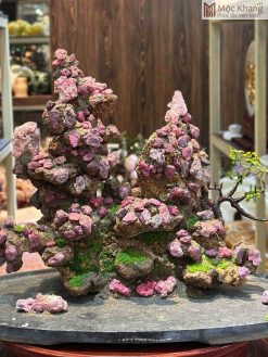 Tiểu Cảnh Đá Ruby Thô