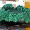 Tinh Thể Đá Khổng Tước (Malachite)