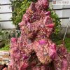 Tinh Thể Đá Ruby Lục Yên Nguyên Khối