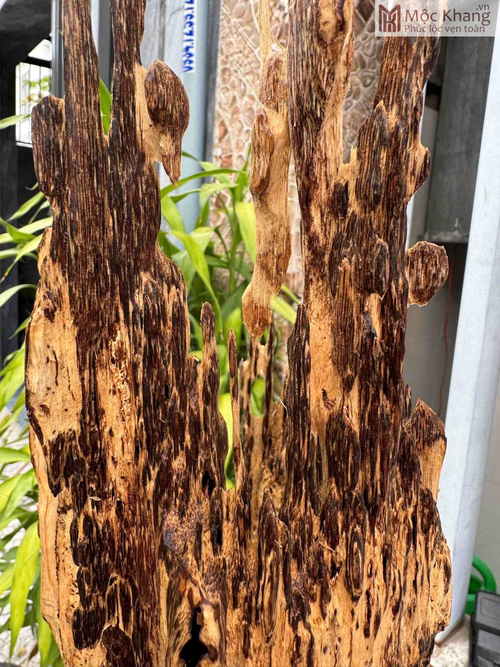 Trầm Hương Nguyên Khối (2)_2 Trầm Hương Nguyên Khối