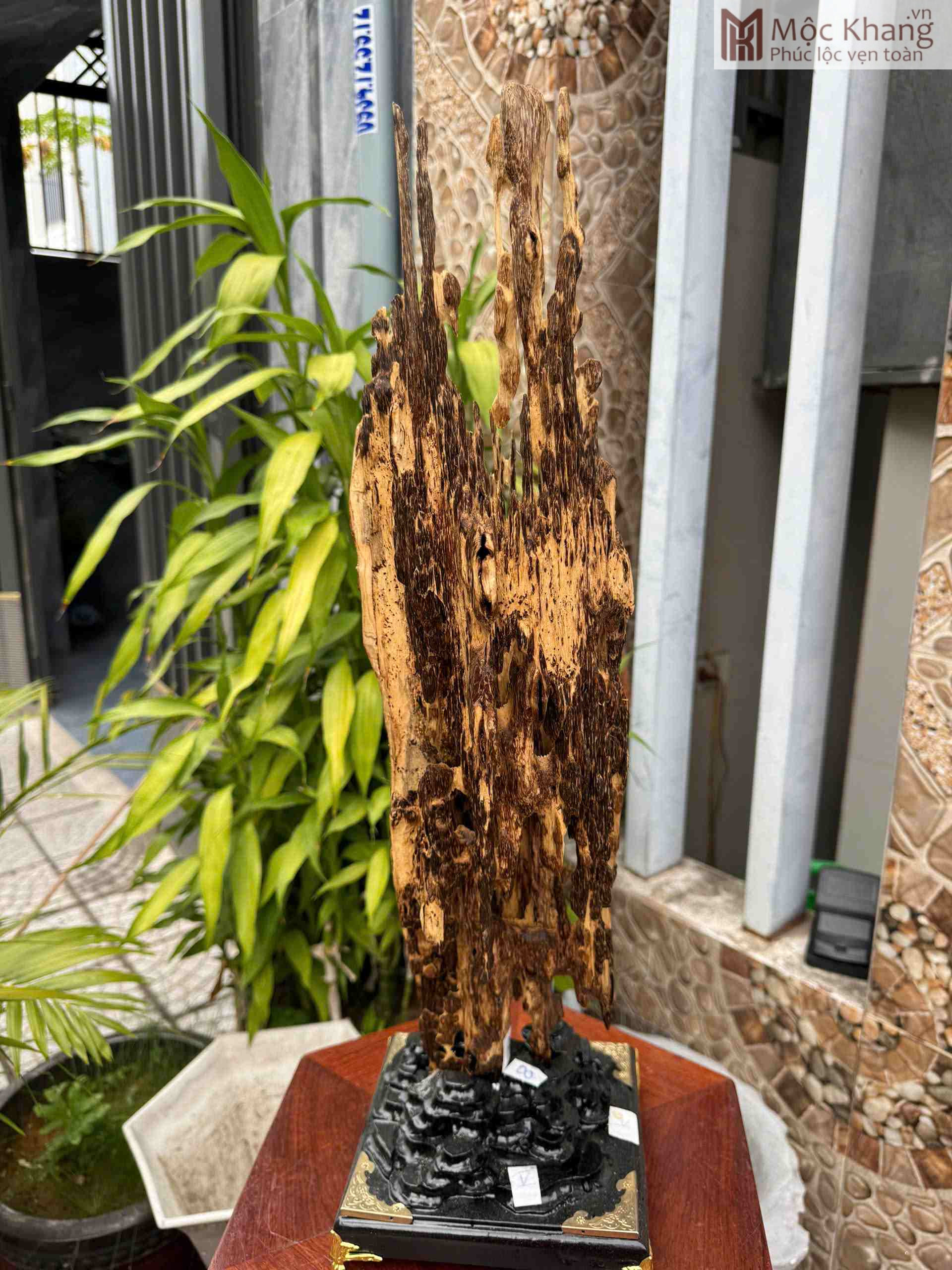 Trầm Hương Nguyên Khối (4)_4 Trầm Hương Nguyên Khối