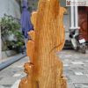 Tuong Quan Am Go Huyet Long 7 7