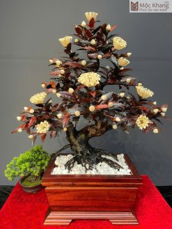Chậu Hoa Phù Dung Gỗ Trắc Đỏ Đen