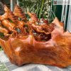 Tượng Bát Mã Phi Thiên