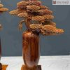 Cap Binh Tung Bonsai Go Cam Cao 188 cm 8 8