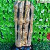 Cây Trúc Hóa Thạch Cao 73 (cm)