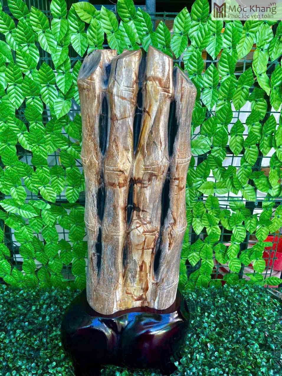 Cây Trúc Hóa Thạch Cao 73 (cm) (1) Cây Trúc Hóa Thạch Cao 73 (cm)