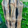 Cay Truc Hoa Thach Cao 73 cm 2
