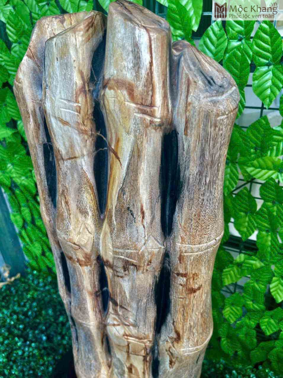 Cây Trúc Hóa Thạch Cao 73 (cm) (2) Cay Truc Hoa Thach Cao 73 cm 2