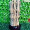 Cay Truc Hoa Thach Cao 73 cm 3