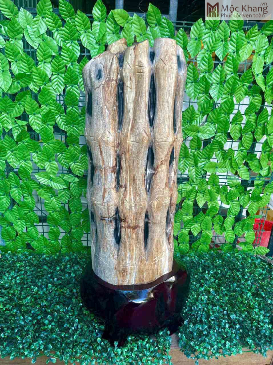 Cây Trúc Hóa Thạch Cao 73 (cm) (3) Cay Truc Hoa Thach Cao 73 cm 3
