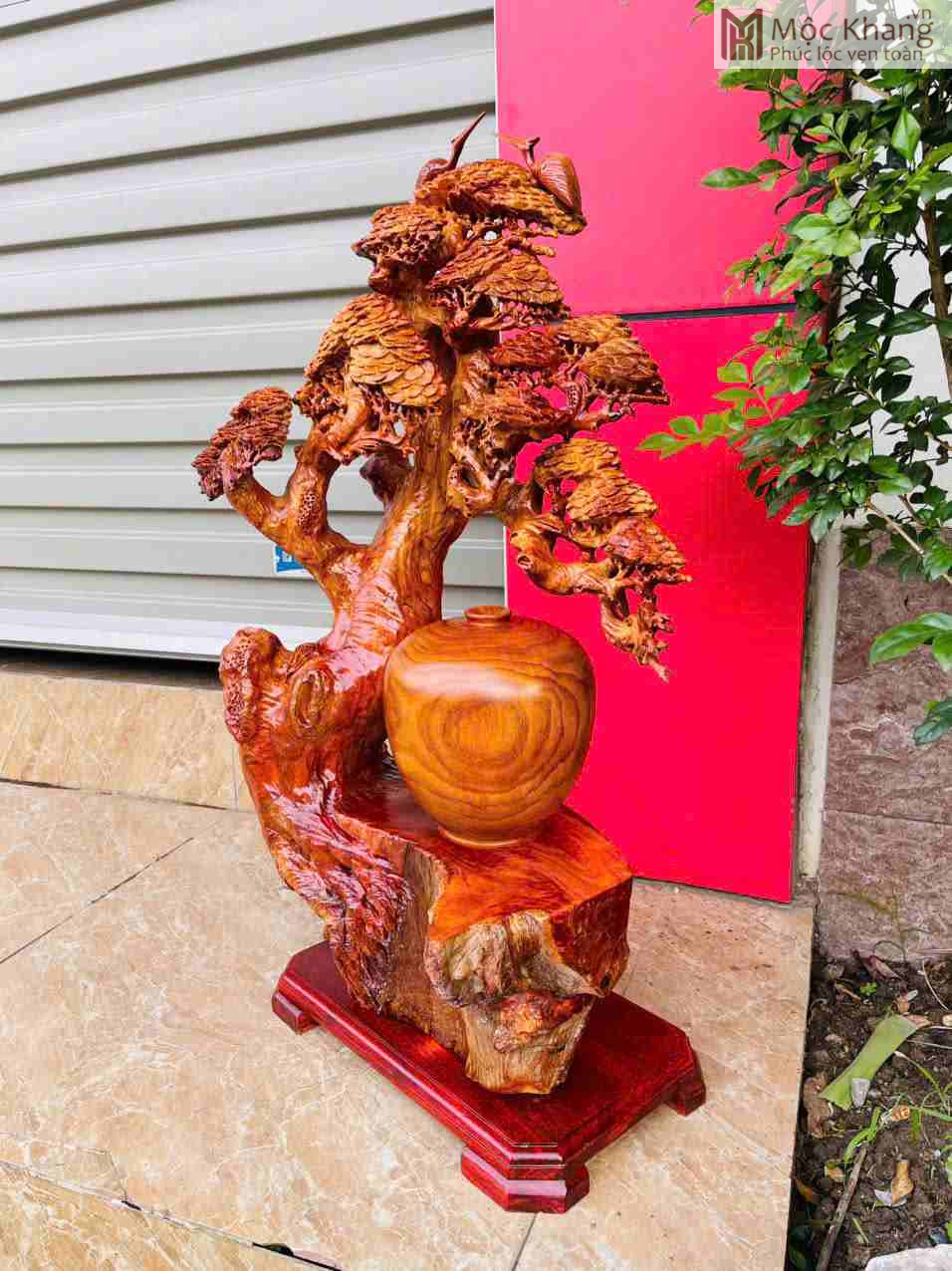 Cây Tùng Phú Quý Gỗ Hương (2)_2 Cay Tung Phu Quy Go Huong 2 2
