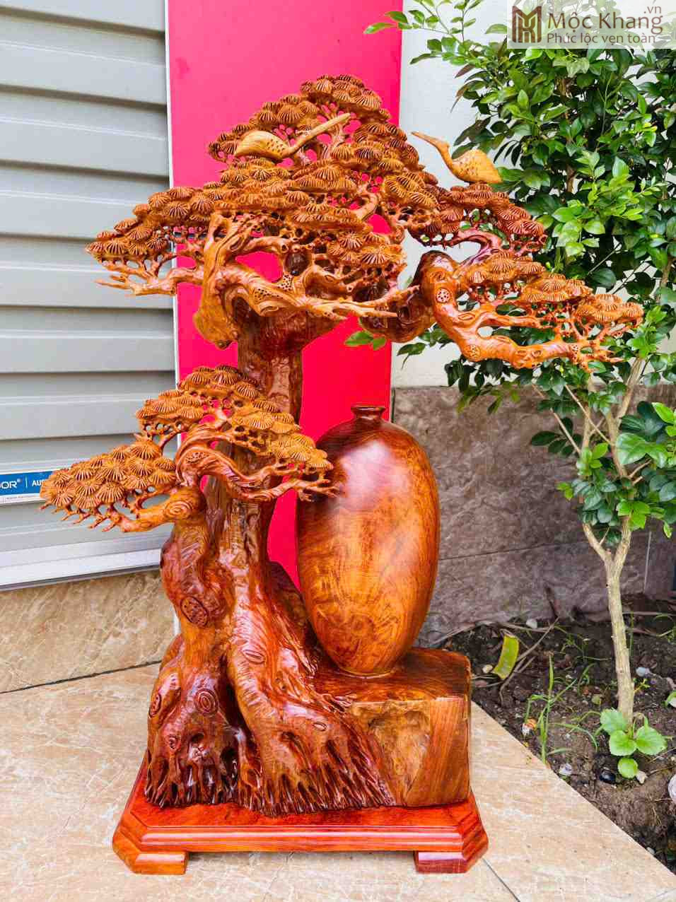 Cây Tùng Phú Quý Gỗ Hương (3)_3 Cây Tùng Phú Quý Gỗ Hương