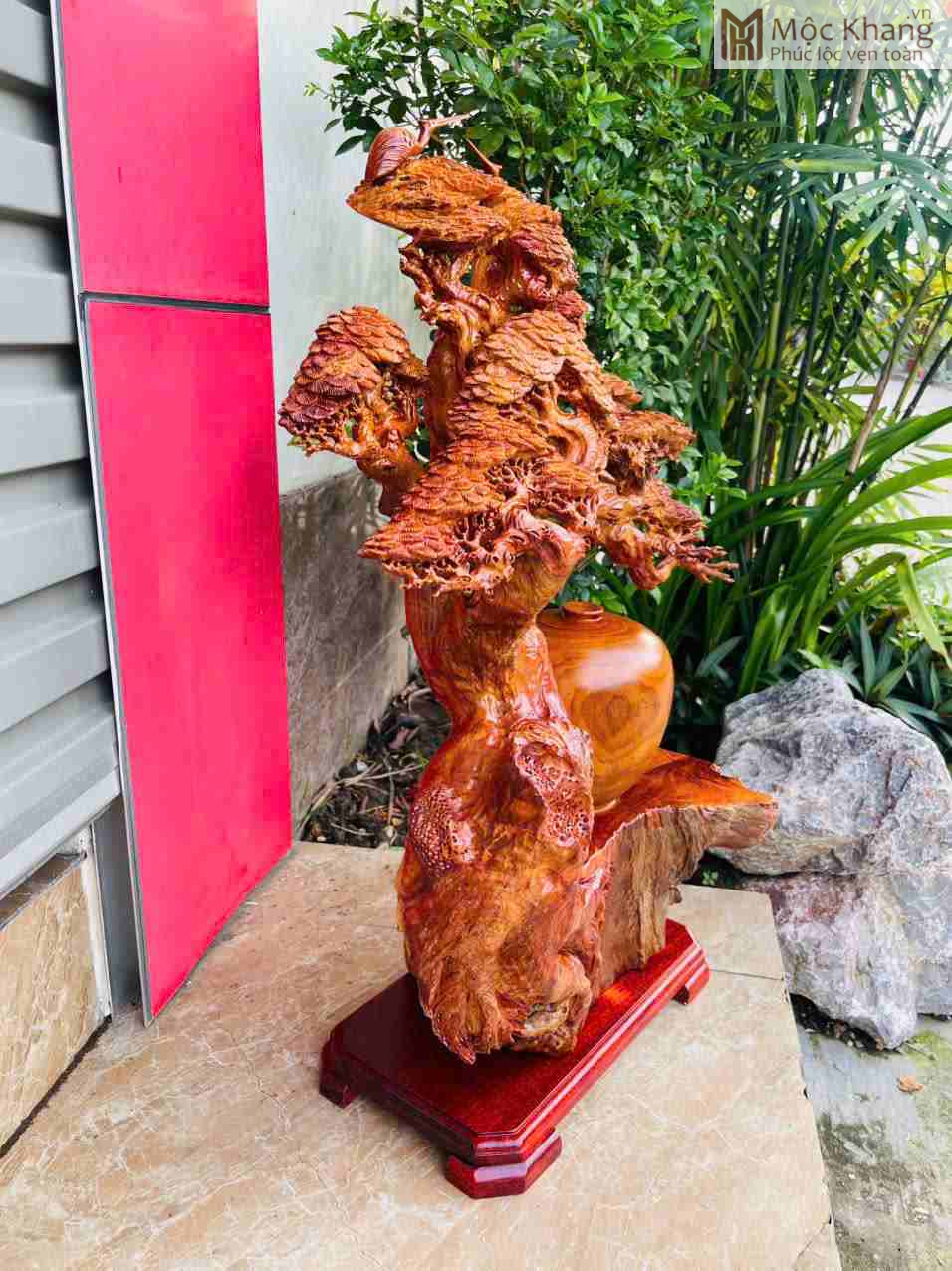 Cây Tùng Phú Quý Gỗ Hương (3)_3 Cay Tung Phu Quy Go Huong 3 3