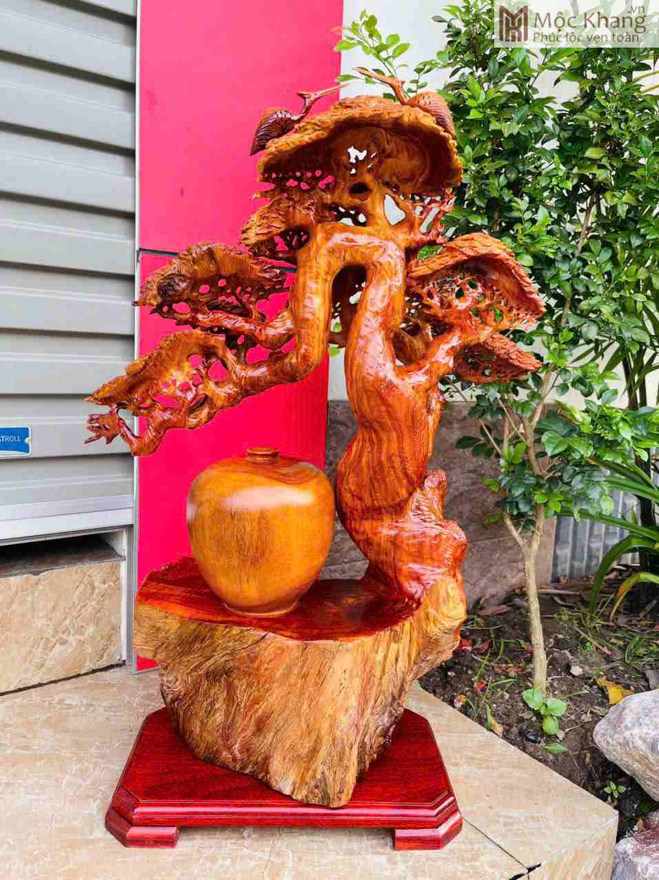 Cây Tùng Phú Quý Gỗ Hương (4)_4 Cây Tùng Phú Quý Gỗ Hương