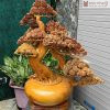 Cây Tùng Phú Quý Gỗ Ngọc Am Cao 71 (cm)
