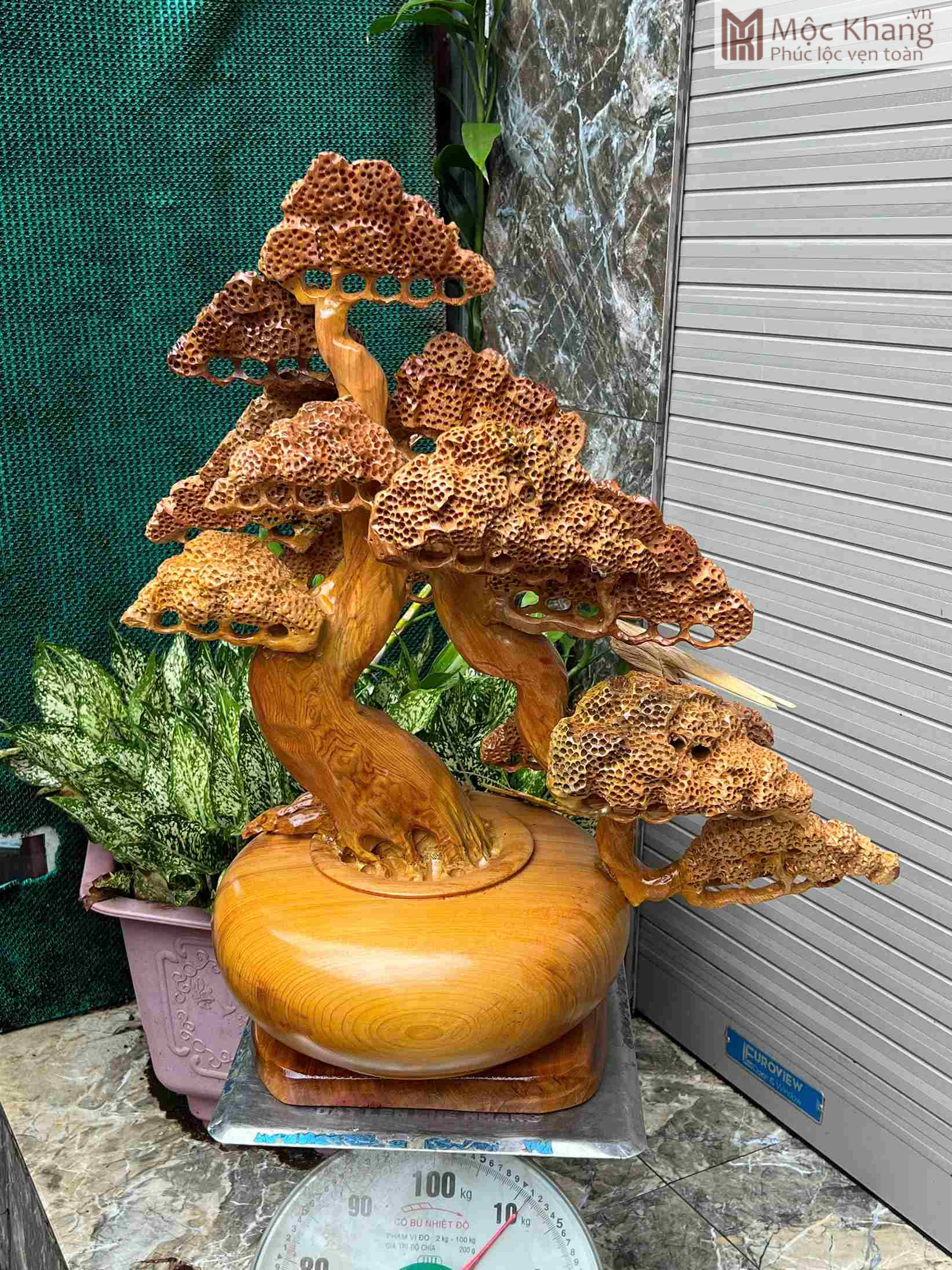 Cây Tùng Phú Quý Gỗ Ngọc Am Cao 71 (cm) (4)_4 Cây Tùng Phú Quý Gỗ Ngọc Am Cao 71 (cm)