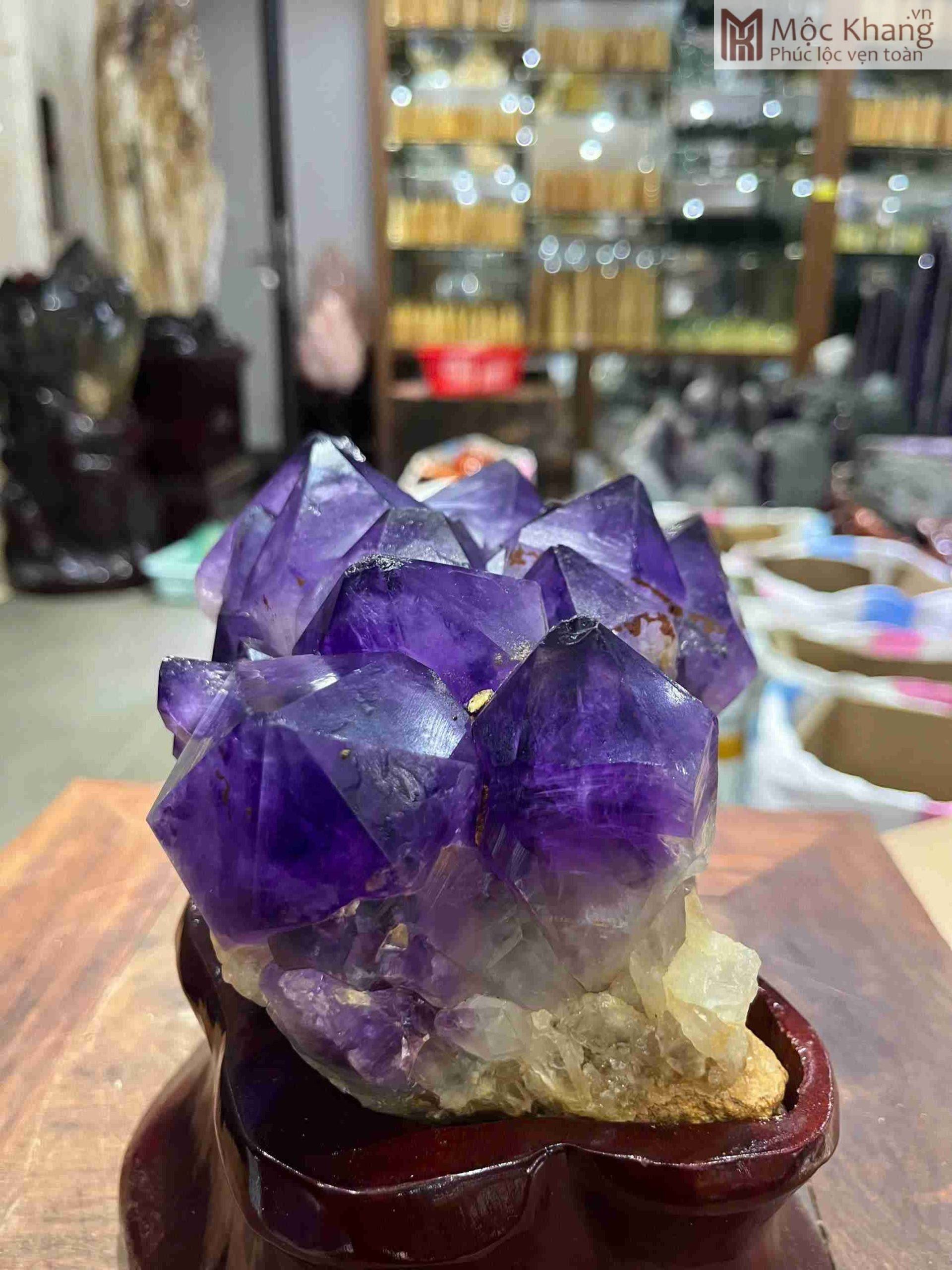 Mầm Tinh Thể Đá Thạch Anh Tím Cao Cả Đế 22 (cm) (2)_2 Mầm Tinh Thể Đá Thạch Anh Tím Cao Cả Đế 22 (cm)