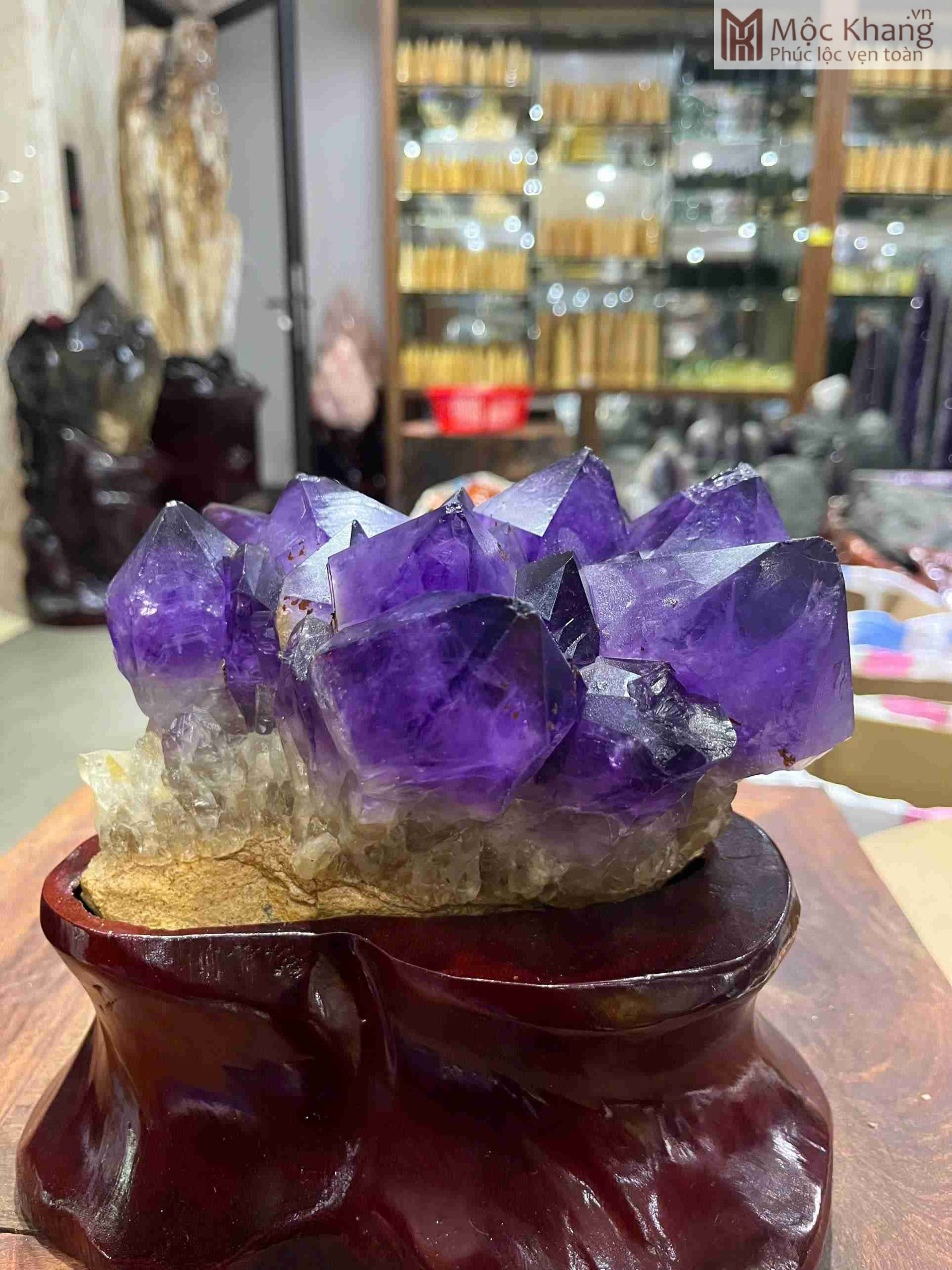 Mầm Tinh Thể Đá Thạch Anh Tím Cao Cả Đế 22 (cm) (3)_3 Mam Tinh The Da Thach Anh Tim Cao Ca De 22 cm 3 3 scaled