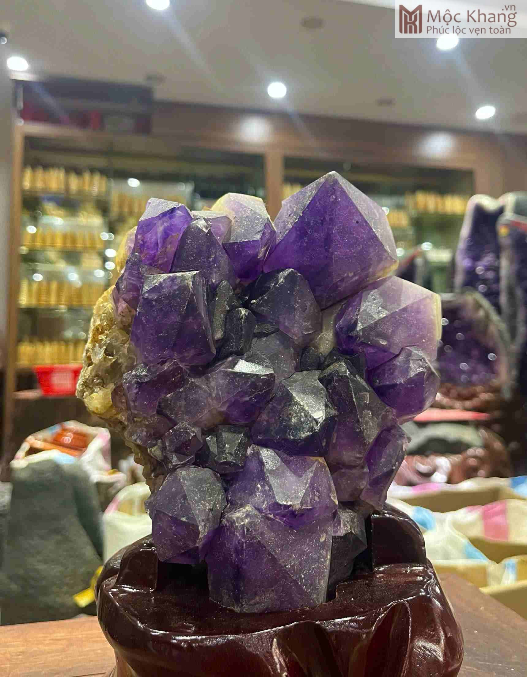 Mầm Tinh Thể Đá Thạch Anh Tím Cao Cả Đế 26 (cm) (2)_2 Mầm Tinh Thể Đá Thạch Anh Tím Cao Cả Đế 26 (cm)
