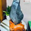 Hoa Ưu Đàm Trắng