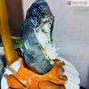 Hoa Ưu Đàm Trắng