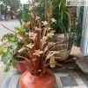 Binh Hoa Lan Go Sua Ket Hop Go Huong Cao 96 cm 5 5