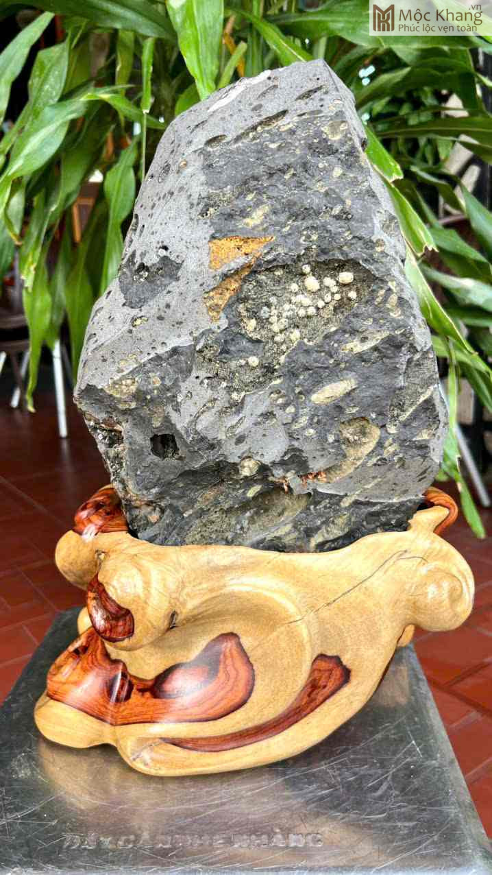 Hoa Đá Ưu Đàm (Aragonit) Cao 42 (cm) (1)_1 Hoa Da Uu Dam Aragonit Cao 42 cm 1 1