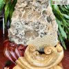 Hoa Đá Ưu Đàm (Aragonit) Cao 42 (cm)